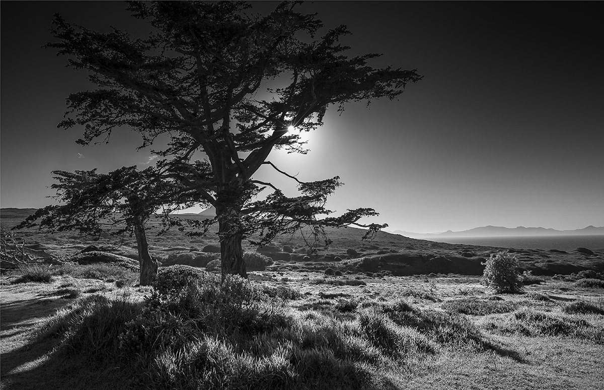 Landscape 2